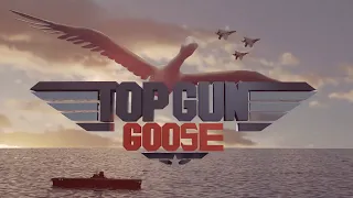 Top Gun : Goose