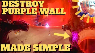 Ori and the Will of the Wisps - How to Destroy Purple Wall (Windswept Wastes)