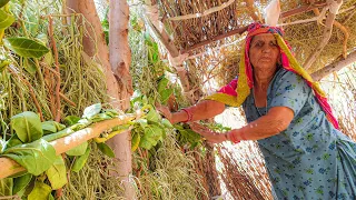 मेरी 70 साल की दादी आज भी क्या क्या करती है ! 😲 झोपड़ी में रहना ही पसंद है || Hut house Village