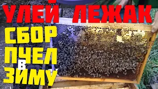 Как правильно собрать гнездо на зиму в лежаку? .Сокращение гнезд пчелиных семей.