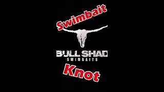 Mike's Go To Swimbait Knot #shorts