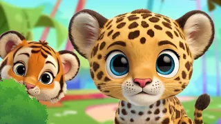 Wild Cats In Nature: Puma Lion Tiger | Animal Sounds | BittyAnimals For Kids