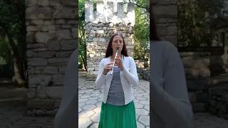 Tin Whistle in the park, Feodosia | Curlew Hills (irish hornpipe) | Day 22