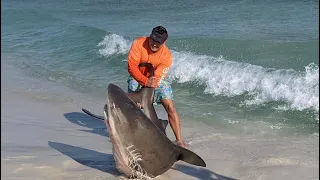 Navarre Beach Shark Fishing