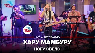 Ногу свело! - Хару Мамбуру (LIVE @ Авторадио)