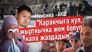 Мексика-АКШ: "Каракчыларга кул, жырткычка жем болуп кала жаздадым"