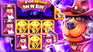 ЗАЛЕТЕЛ В НОВЫХ СОБАК THE DOG HOUSE DOG OR ALIVE I ПОДНЯЛ 170.000 I ЧТО ТВОРЯТ СОБАКИ СЕГОДНЯ MAXWIN