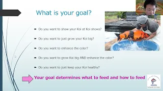 Koi Food Seminar Part 1 - Know Before You Feed