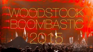 Woodstock 2015 Shaggy Boombastic Live