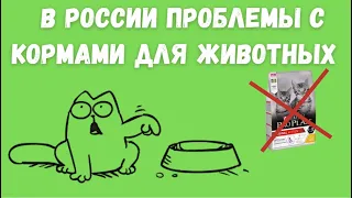 Purina остановила производство и продажу кормов Friskies для кошек и собак в России