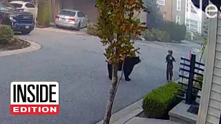 Link in Description 👇👇👇 7-Year-Old Encounters Massive Bear While Riding Scooter