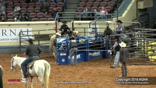 A Judges Perspective: 2016 AQHA Senior Heeling