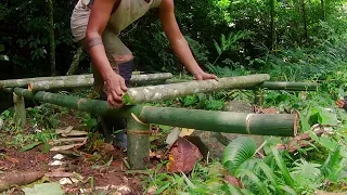 Build A-frame Bamboo shelter survival bushcraft jungle rainforest river cooking bamboo tubes [ep06]