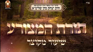 תורת המצורע - מקוצר - שיעור תורה מפי הרב יצחק כהן שליט"א / Rabbi Yitzchak Cohen Shlita Torah lesson