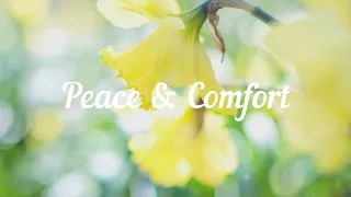 1 Hour Peace & Comfort Hymns,  Piano Hymns | Old Hymn of the Church |   Old Hymns | My Jesus I Love