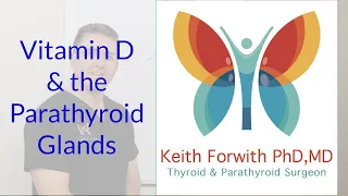 Vitamin D and the Parathyroid Glands