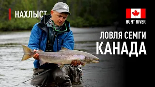 Ловля СЕМГИ в КАНАДЕ река Hunt River / Atlantic Salmon fly fishing in Hunt River, Canada.