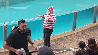 Tom The Seaworld Mime Holiday Special