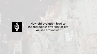 How did evolution lead to the incredible diversity of life we see around us?