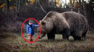 Мальчик потерялся в лесу. То что с ним сделал огромный медведь поражает!