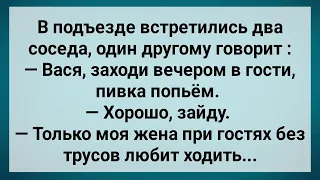 Жена При Гостях Без Трусов Ходит! Сборник Свежих Анекдотов! Юмор!