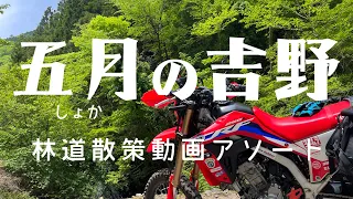 《 CRF250L MD47 》2023年初夏　奈良吉野　林道散策動画の詰め合わせ
