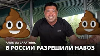 В России разрешили навоз. Алик из Саратова