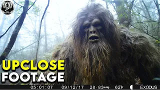 2023 SHOCKING TRAIL CAM FOOTAGE YOU NEED TO SEE