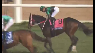 2021 11 /6  R 7 Kawada Yuga   Loves Only you T  Yoshito Yahagi  @ Del Mar  (Grade 1)