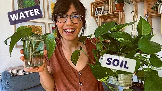 How to move houseplants from water to soil | moving cuttings from water to soil 💦 ➡️ 🟤