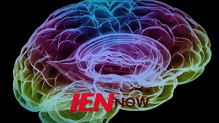 IEN NOW: Monkey Plays Video Games with Neuralink’s Brain Interface