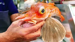 Japanese Street Food - ORANGE FLYING FISH Sashimi Okinawa Seafood Japan