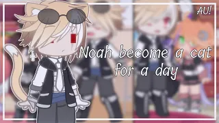 Noah become a cat for a day || my AU