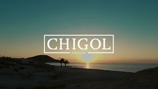 CHIGOL EXPERIENCE