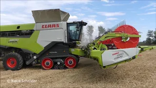 Claas Lexion 8800 Weizen dreschen bei Hakeborn