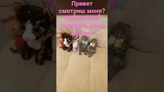 щикотки