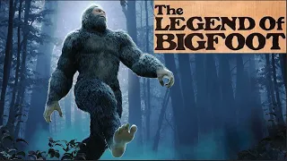 The Legend Of Bigfoot song