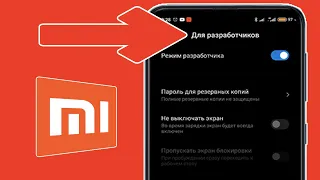 Как ВКЛЮЧИТЬ РЕЖИМ РАЗРАБОТЧИКА на Телефоне XIAOMI на MIUI 11,12,10,13