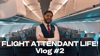 7 FLIGHTS! 3 DAYS! Flight Attendant Vlog #2