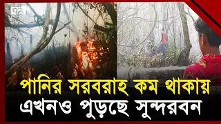 এখনও পুড়ছে বাংলাদেশের ফুসফুস 'সুন্দরবন' | Sundarbans Fire | Ekattor TV