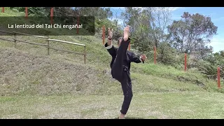 La lentitud del Tai Chi engaña!