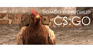 Можно ли поставить бомбу на курицу в CS:GO? Правда или миф?
