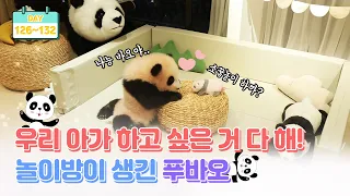 [판다로그] 아기판다 난생 처음 놀이방에 데려갔더니ㅋㅋㅋㅋ | 에버랜드 판다월드 푸바오 (Baby Panda 'FuBao')