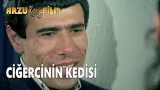 Hababam Sınıfı Güle Güle - Sen Ciğercinin Kedisi, Ben Sokak Kedisi