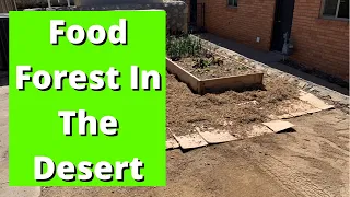 Creating A Food Forest In The Desert