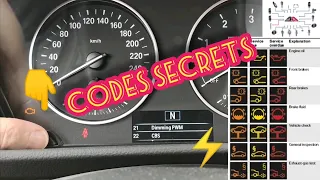 How to enter the hidden menu? "BMW 2 Series F ....." How to enter the hidden menu?