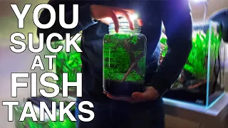 Enclosed Ecosphere with SHRIMP | You Suck At Fish Tanks