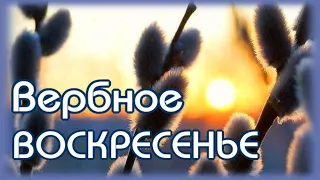 С Вербным Воскресеньем! Мира и счастья в ваш дом!