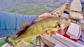 Slip Bobber Fishing for Fall Walleye! (Weed Edge Walleye's)