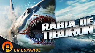 RABIA DE TIBURÓN | PELICULA+ | PELICULA DE ACCION EN ESPANOL LATINO